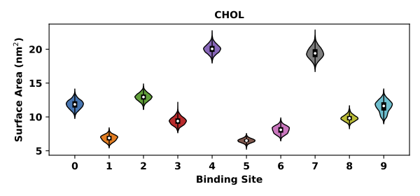 _images/Surface_Area_violinplot.png